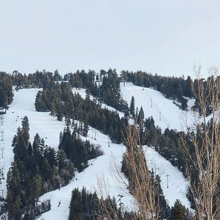 Bear Escapes II Affordable Luxury Cabin Sugarloaf エクステリア 写真