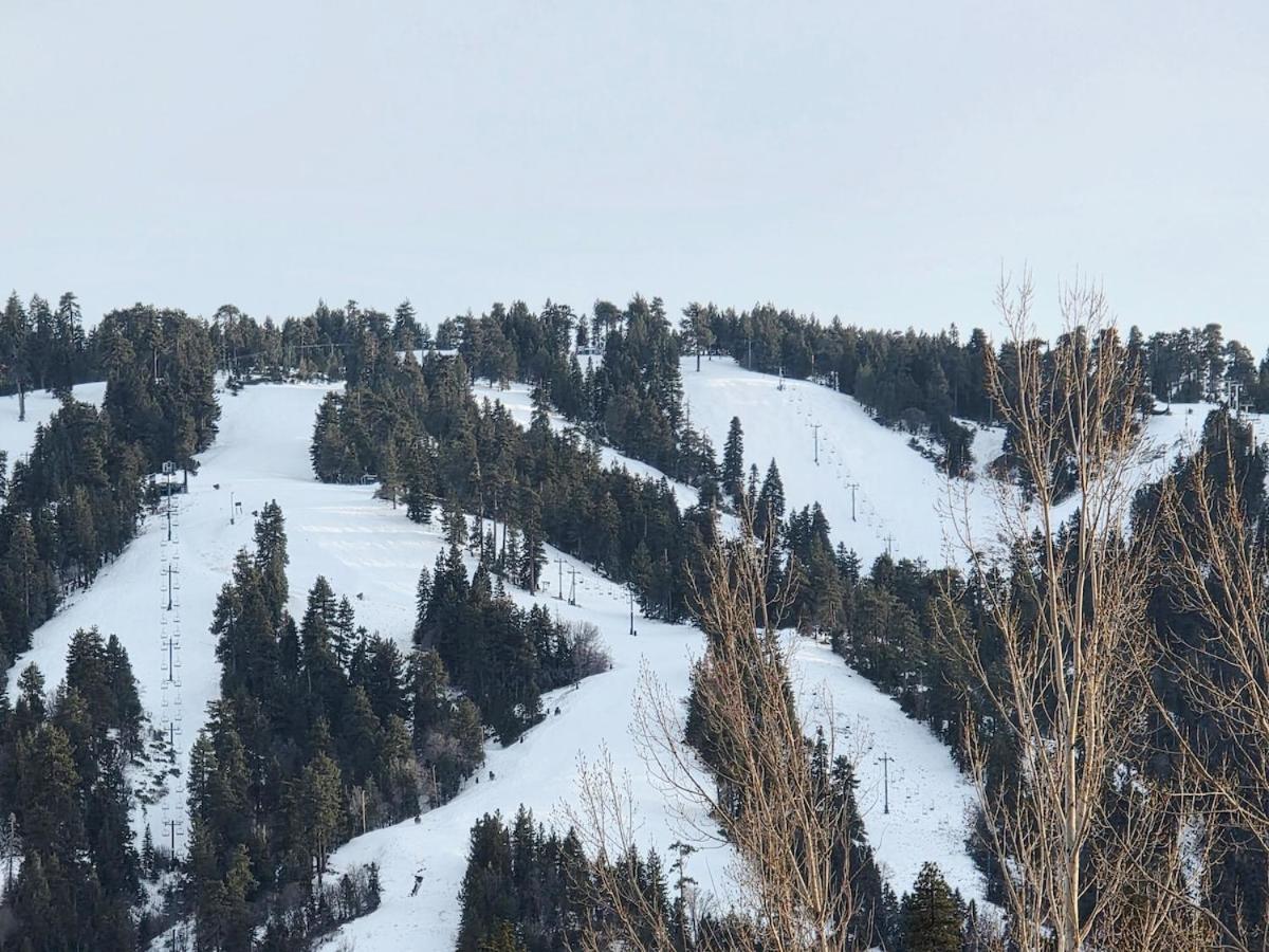 Bear Escapes II Affordable Luxury Cabin Sugarloaf エクステリア 写真
