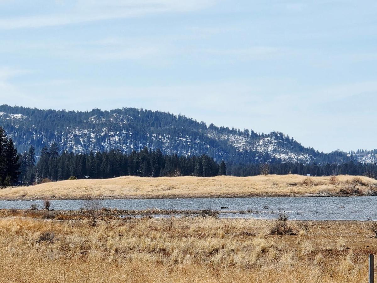 Bear Escapes II Affordable Luxury Cabin Sugarloaf エクステリア 写真